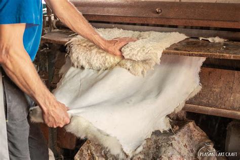 traditional leather tanning.